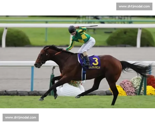 刚劲力登顶菊花赏！李慕华铸就三连冠传奇